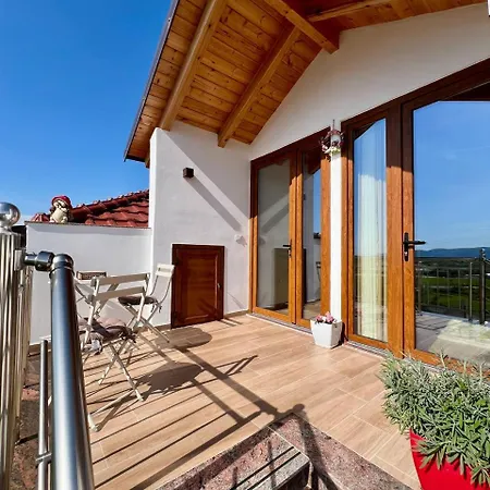 Tringa - Mrizi I Zanave