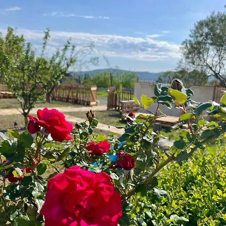 Tringa - Mrizi I Zanave 3* Fishte