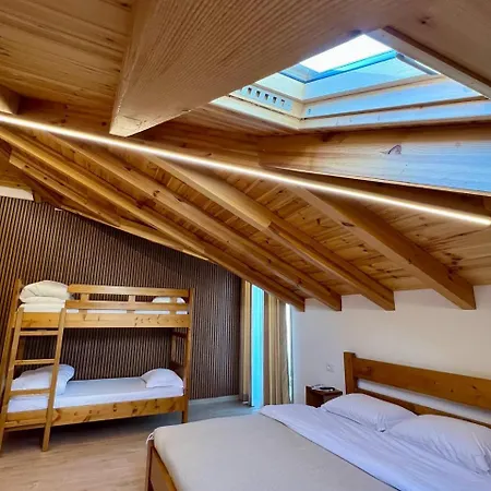 Tringa - Mrizi I Zanave Fishte