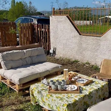 Tringa - Mrizi I Zanave