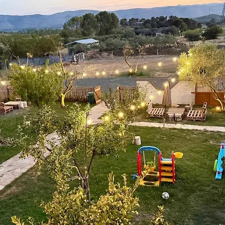 Tringa - Mrizi I Zanave 3*