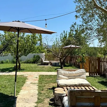 Tringa - Mrizi I Zanave Fishte