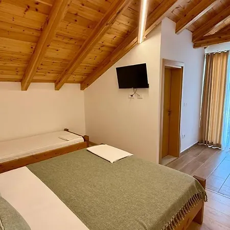 Tringa - Mrizi I Zanave Fishte