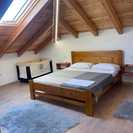 Tringa - Mrizi I Zanave 3*