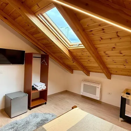 Tringa - Mrizi I Zanave Fishte