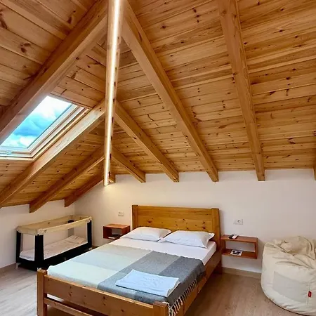 Tringa - Mrizi I Zanave Fishte