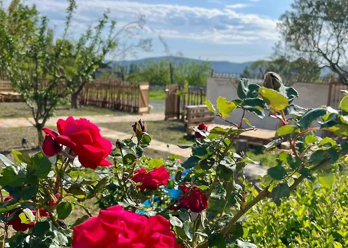 Tringa - Mrizi I Zanave 3* Fishte