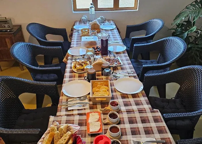 Tringa - Mrizi I Zanave Fishte