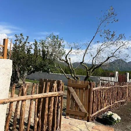Bed & Breakfast Tringa - Mrizi I Zanave *