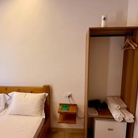 Tringa - Mrizi I Zanave Fishte