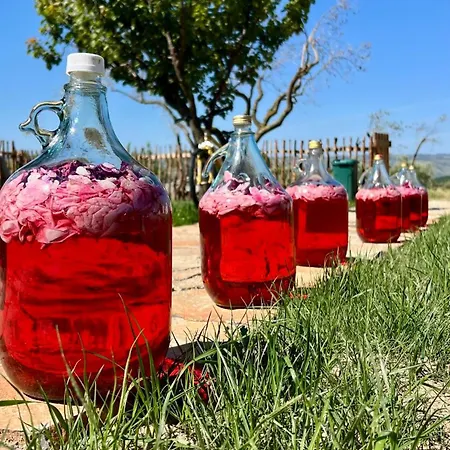 Tringa - Mrizi I Zanave Bed and Breakfast