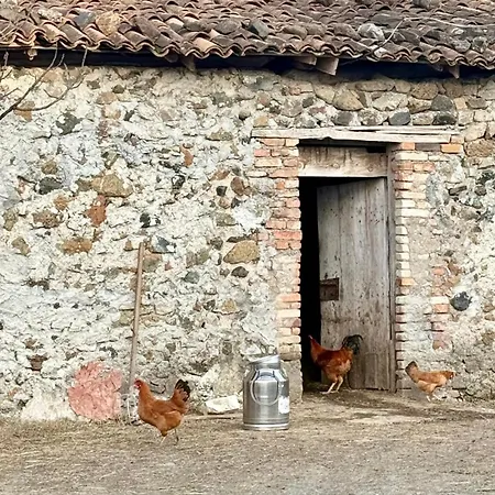 Bed and Breakfast Tringa - Mrizi I Zanave