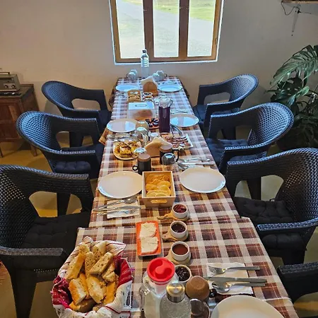 Tringa - Mrizi I Zanave Fishte
