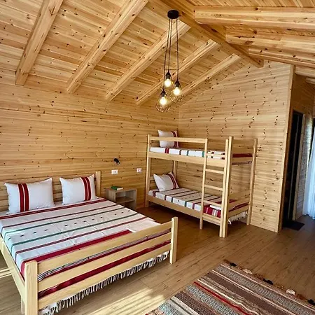 Tringa - Mrizi I Zanave 3*