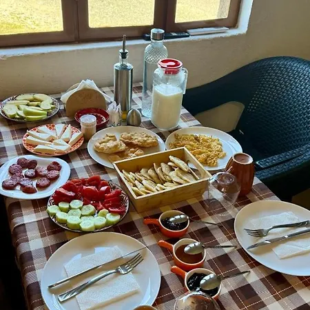 Tringa - Mrizi I Zanave