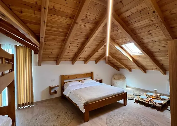 Tringa - Mrizi I Zanave