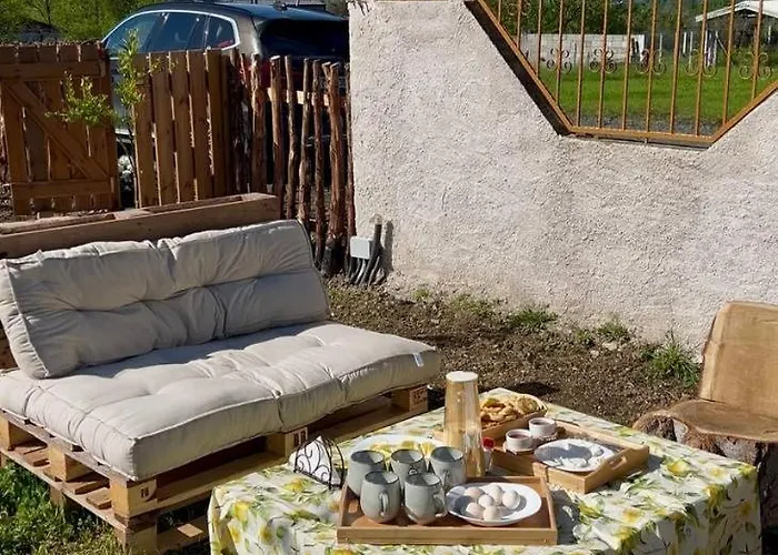 Tringa - Mrizi I Zanave