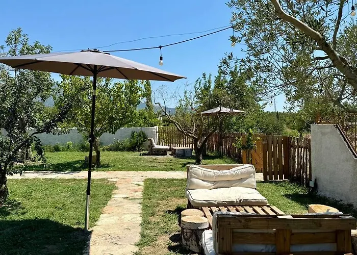 Tringa - Mrizi I Zanave Fishte